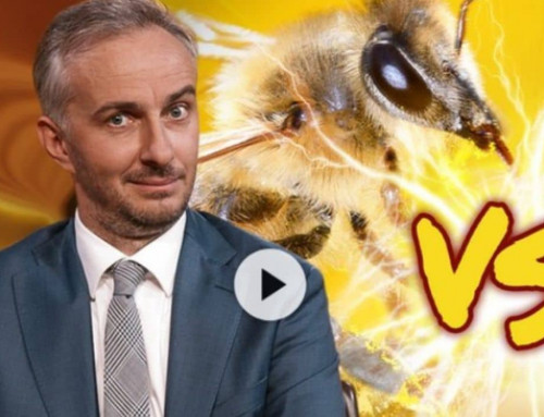 The bee war in court: Böhmermann’s legal dispute doesn’t take a sweet turn!